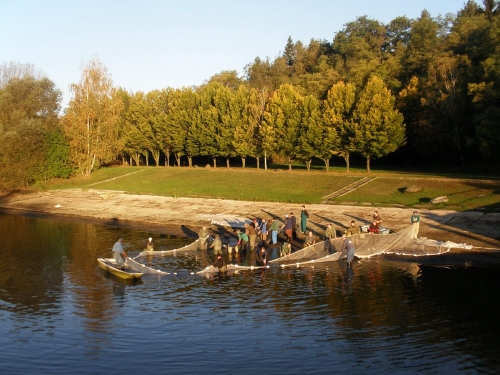 Rybáři Týnec nad Labem